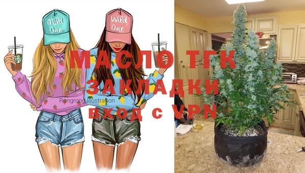 прущие грибы Сатка
