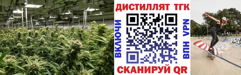 kraken вход  Вилючинск  Дистиллят ТГК Wax  закладки 